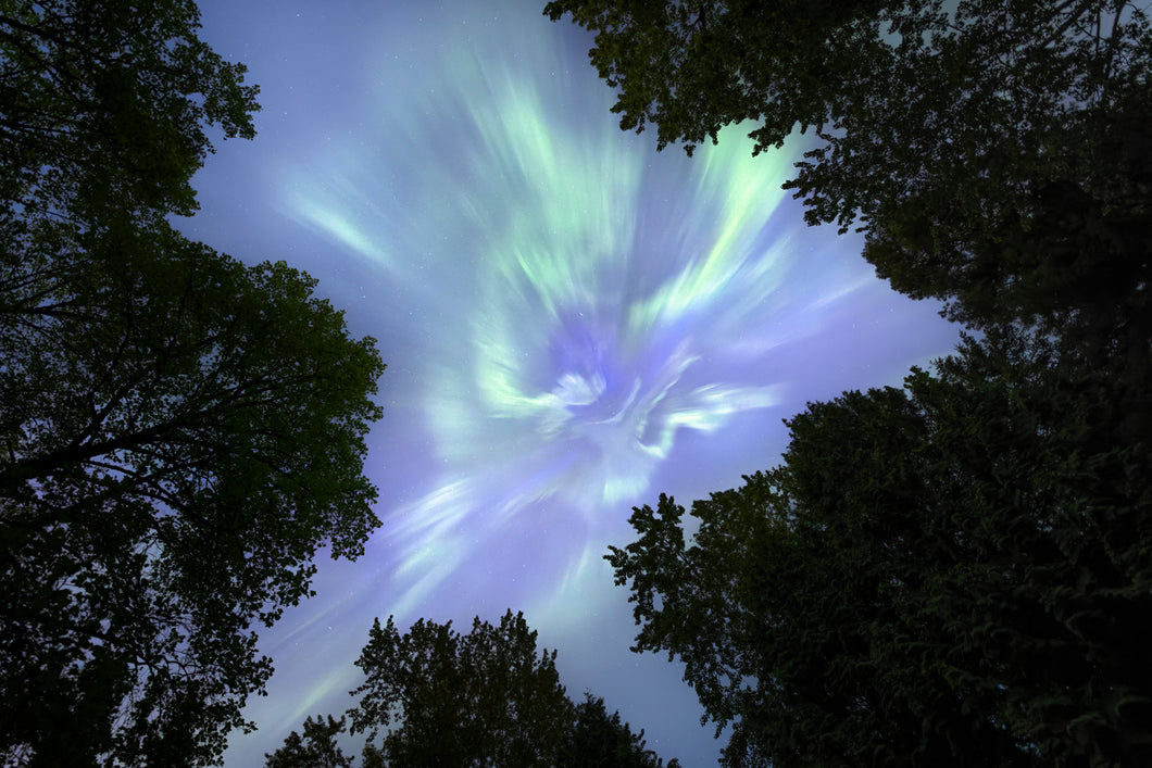 Lights Above