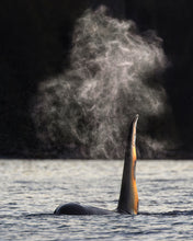 Load image into Gallery viewer, Beautiful Breath

