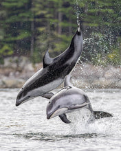Load image into Gallery viewer, Pure Joy
