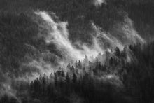 Load image into Gallery viewer, Foggy Forest
