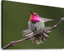 Load image into Gallery viewer, Giclée Stretched Canvas Print
