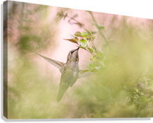 Load image into Gallery viewer, Giclée Stretched Canvas Print
