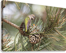 Load image into Gallery viewer, Giclée Stretched Canvas Print
