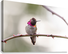 Load image into Gallery viewer, Giclée Stretched Canvas Print
