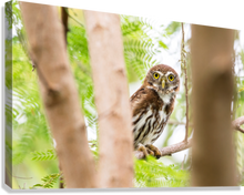 Load image into Gallery viewer, Giclée Stretched Canvas Print
