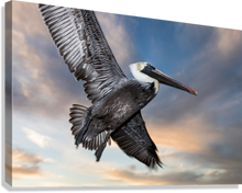 Load image into Gallery viewer, Giclée Stretched Canvas Print
