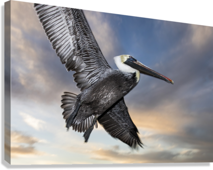 Giclée Stretched Canvas Print