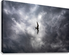 Load image into Gallery viewer, Giclée Stretched Canvas Print
