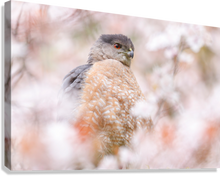 Load image into Gallery viewer, Giclée Stretched Canvas Print
