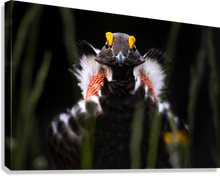 Load image into Gallery viewer, Giclée Stretched Canvas Print
