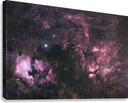 Giclée Stretched Canvas Print