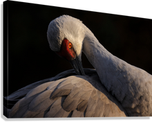 Load image into Gallery viewer, Giclée Stretched Canvas Print
