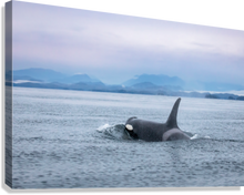 Load image into Gallery viewer, Giclée Stretched Canvas Print
