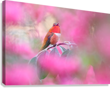 Load image into Gallery viewer, Giclée Stretched Canvas Print
