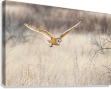 Load image into Gallery viewer, Giclée Stretched Canvas Print
