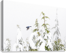 Load image into Gallery viewer, Giclée Stretched Canvas Print
