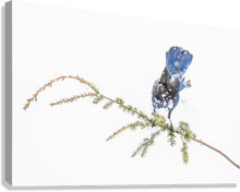 Load image into Gallery viewer, Giclée Stretched Canvas Print
