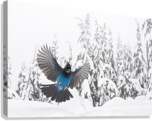 Load image into Gallery viewer, Giclée Stretched Canvas Print
