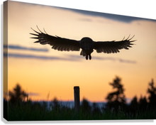 Load image into Gallery viewer, Giclée Stretched Canvas Print
