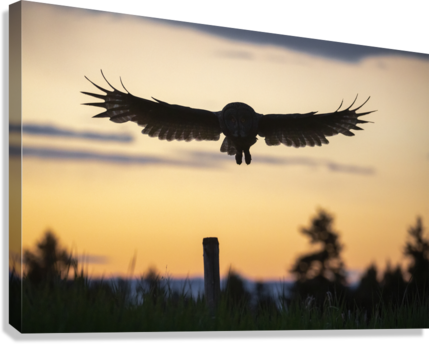 Giclée Stretched Canvas Print