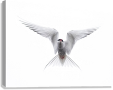 Load image into Gallery viewer, Giclée Stretched Canvas Print
