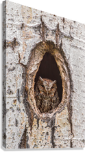 Load image into Gallery viewer, Giclée Stretched Canvas Print
