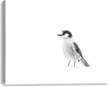 Load image into Gallery viewer, Giclée Stretched Canvas Print
