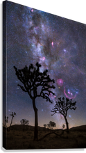 Load image into Gallery viewer, Giclée Stretched Canvas Print
