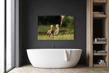 Load image into Gallery viewer, Beginnings
