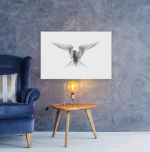 Load image into Gallery viewer, The Protector
