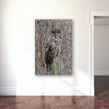 Load image into Gallery viewer, Blending In
