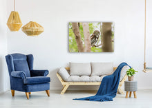 Load image into Gallery viewer, Bright Eyes
