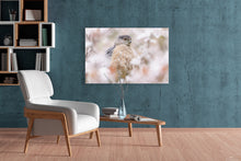 Load image into Gallery viewer, Hawk in the Blossoms
