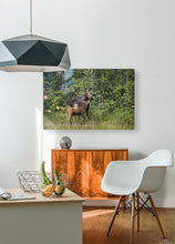 Load image into Gallery viewer, HD Sublimation Metal Print
