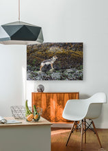 Load image into Gallery viewer, HD Sublimation Metal Print
